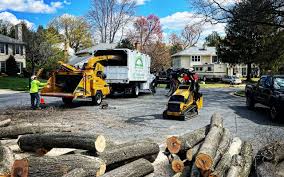 Trusted Deerfield, MI  Tree Services Experts